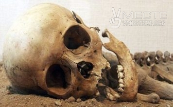 В Запорожье в посадке женщина нашла скелет человека