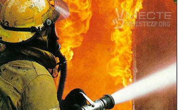 В Запорожской области горел дом