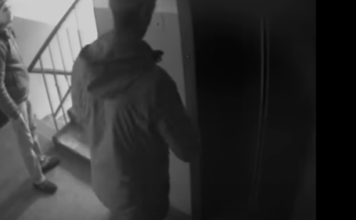 В Запорожской области разыскивают «звезд» интернет-сети (ВИДЕО)