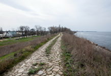 В Запорожской области нашли тело не рождённого ребёнка, — СМИ