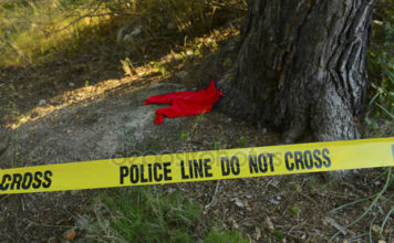 В Запорожской области железнодорожники обнаружили жуткую находку