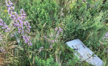 В Запорожье на берегу Днепра обнаружили странную находку, — ФОТО