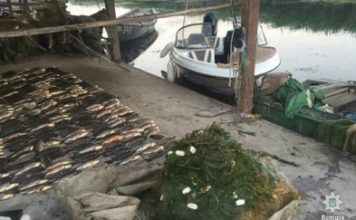 Из-за браконьеров в Запорожской области погибли 330 рыб (ФОТО)