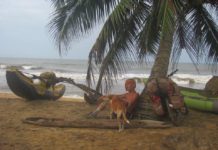 Запорожский путешественник объедет на велосипеде всю Латинскую Америку