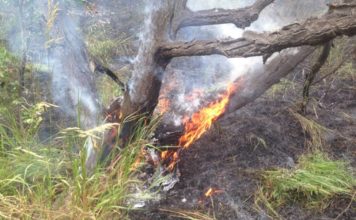На главной запорожской достопримечательности случилось ЧП (ФОТО, ВИДЕО)