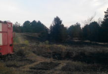 В Запорожской области начались массовые пожары на природе, — ФОТО