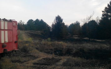 В Запорожской области начались массовые пожары на природе, — ФОТО