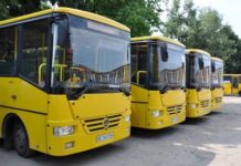 Стало известно, какие маршруты будут обслуживать «лизинговые» автобусы Запорожья