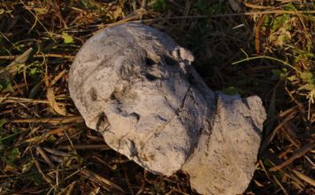 В Запорожской области нашли расстрелянного Ленина (ФОТОФАКТ)