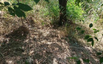 В Запорожье известная сеть кофеен оправдалась после публичного позора, — ФОТОФАКТ