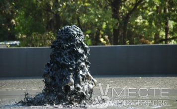 В запорожском парке обмельчало озеро и бьет ключом черная жижа, — ФОТО