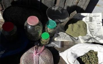 Жители Бердянска хранят дома десятки килограммов конопли (ФОТО)