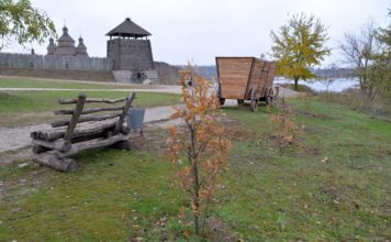 Возле «Запорожской Сечи» высаживают дубы в честь известных украинских деятелей (ФОТО)