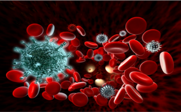 Запорожцы продолжают страдать от страшного недуга