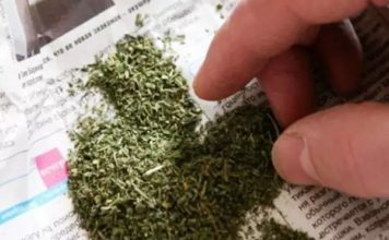 Жители спального района Запорожья могли в обычном магазине купить марихуану