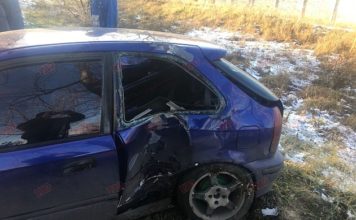 В Запорожской области съехавшее с дороги авто врезалось в дерево (ФОТО)