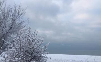 В популярной соцсети опубликовали удивительные снимки запорожского курорта (ФОТО)