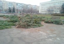В одном из районов Запорожья горожане обнаружили кладбище ёлок (ФОТО)