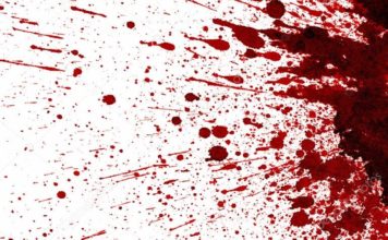 Запорожец намеревался зарезать собственную жену