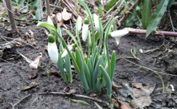 Жители Запорожской области столкнулись с чудом природы (ФОТО)