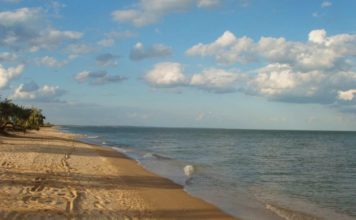 Неизвестные «подготовили» пляж в Бердянске к курортному сезону (ФОТО)