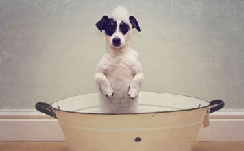 Жителям 20 улиц на Правом берегу Запорожья отключат воду