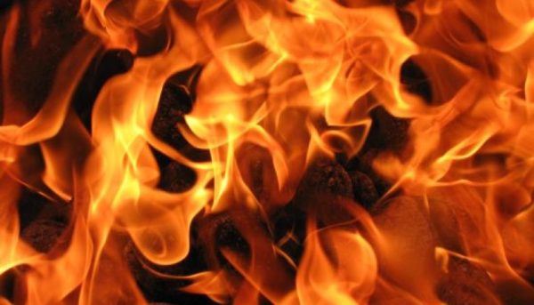 724d8483-e529-6142-55e2-2251ef23cb76.