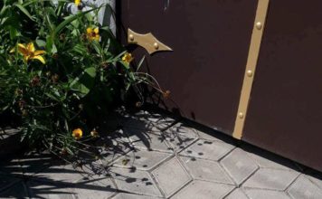 Депутат Запорожского областного совета сообщил о нападении на свой дом (ФОТО)