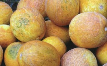 На запорожском рынке уничтожили десятки дынь