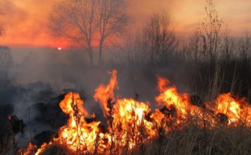 В Запорожской области поймали с поличным «призрачного гонщика»-поджигателя (ВИДЕО)