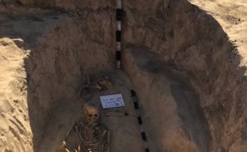 В Запорожской области обнаружили настоящую амазонку (ФОТО)