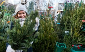 В Запорожье начали готовиться к Новому году