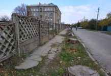 В Запорожье планируют высадить грандиозную дубовую аллею