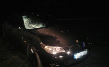 В Запорожской области молодой водитель устроил смертельное ДТП (ФОТО)