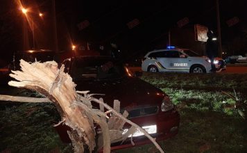 На запорожском курорте автомобиль слетел с дороги и протаранил дерево (ФОТО)