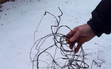 На Хортице обнаружили десятки ловушек для животных (ФОТО)