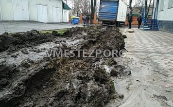 В центре Запорожья фура с товаром для АТБ вспахала газон и застряла в нём (ФОТО)