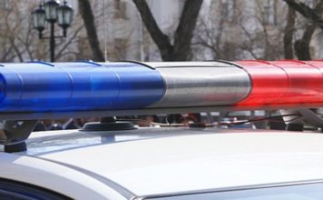 Житель Запорожской области закамуфлировал свой автомобиль под полицейский (ФОТО)