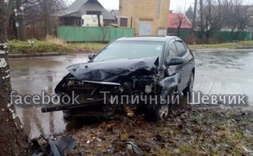 В Шевченковском районе «Хюндай» разбился о дерево (ФОТО)