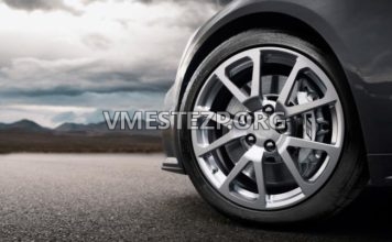 Когда нет твоей маршрутки: в Запорожской области женщина бросалась под колеса машины (ВИДЕО)