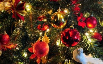 Бесконечный новый год: ёлки в запорожских дворах не спешат убирать (ФОТО)