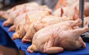 Запорожцам продают курятину трупного цвета (ФОТОФАКТ)