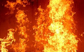 В Запорожской области из-за мультиварки едва не сгорел дом