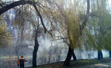 В популярном запорожском парке вспыхнул пожар (ФОТО)
