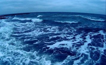 На запорожском курорте море «съедает» берег (ФОТО)