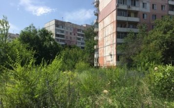 Запорожцы утопают в сорняках и не могут спокойно выйти из дома (ФОТО)