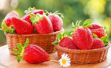 Попробуй клубничку: на запорожских рынках продают ягоды с опаснейшими паразитами (ВИДЕО)