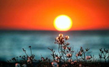 День летнего солнцестояния – что можно и категорически запрещено делать сегодня