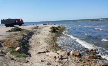 Пляжи запорожского курорта заполонили зловонные водоросли (ФОТО)