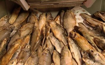 Жительница Мелитополя заразилась ботулизмом: женщина в реанимации